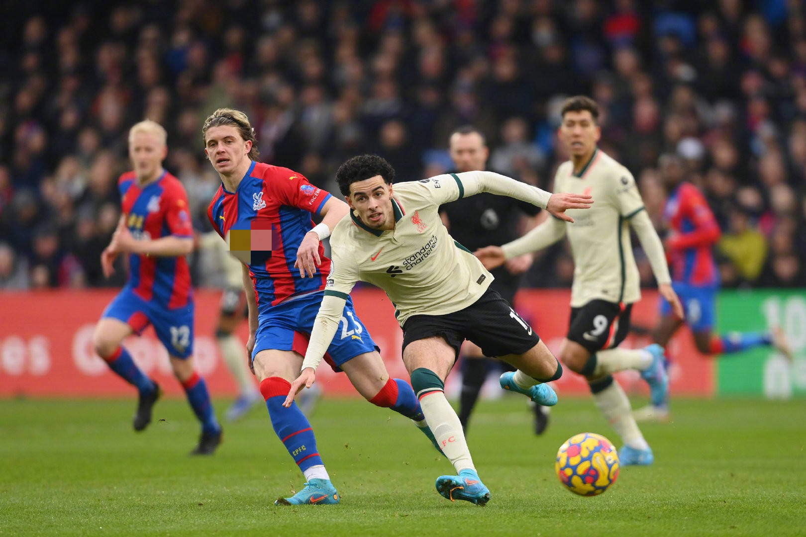 新援亮相 新援亮相